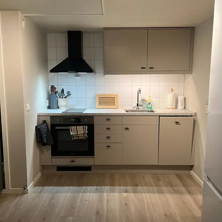 Bright And Pleasant Basement Apartment Near Downtown, Lys Og Trivelig Kjellerleilighet I Sentrumsnaert Kirkenes Exterior photo