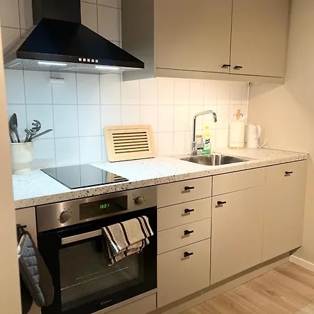 Bright And Pleasant Basement Apartment Near Downtown, Lys Og Trivelig Kjellerleilighet I Sentrumsnaert Kirkenes Exterior photo
